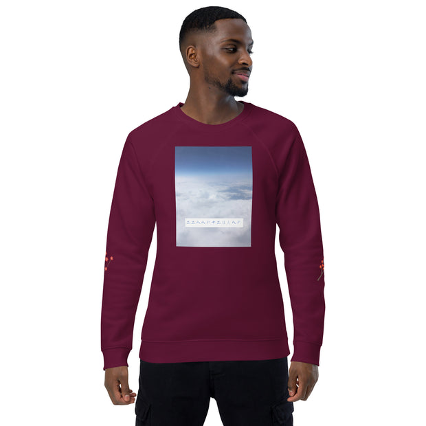 Unisex organic raglan sweatshirt, O8-4